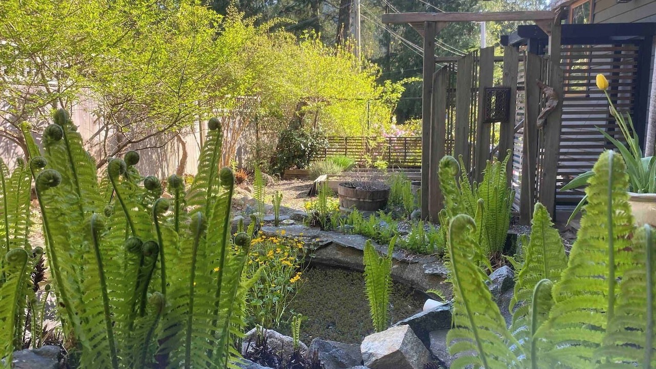 Photo of Outdoor in Bowen Island
