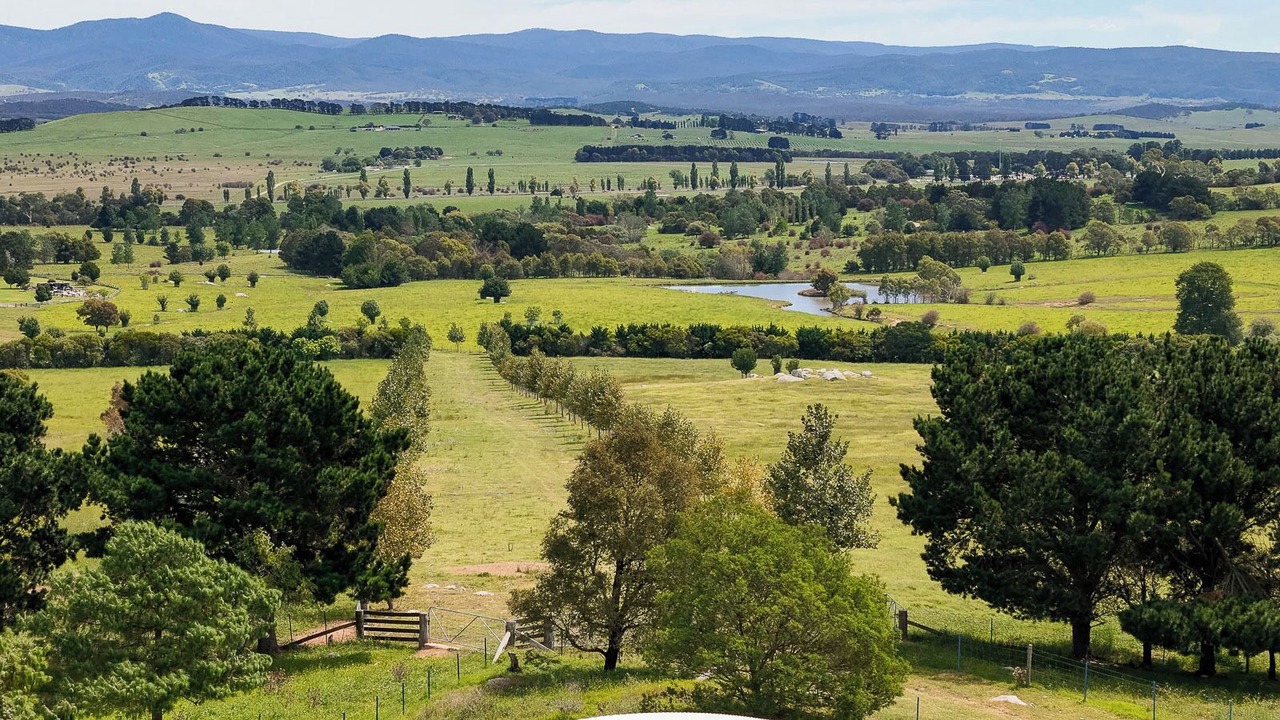 Photo of Others in Braidwood