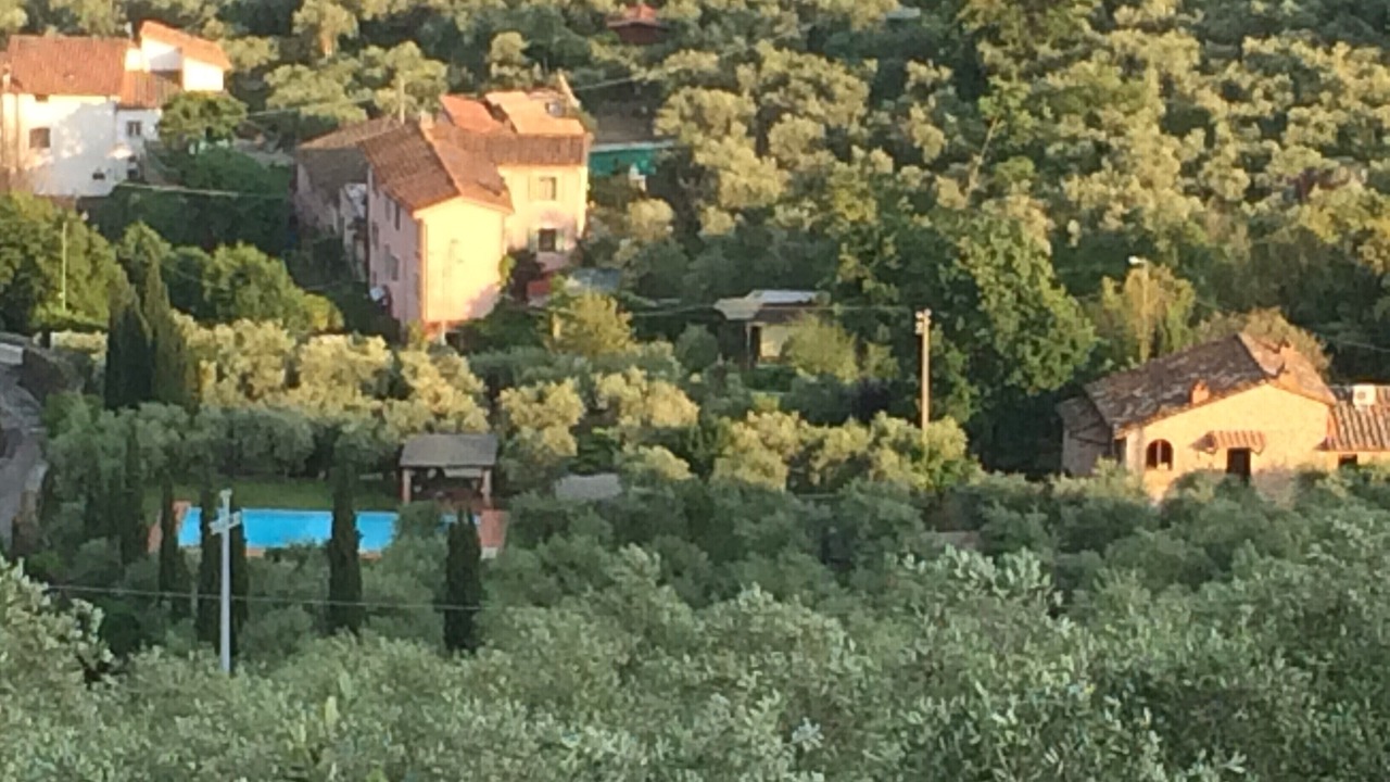 Photo of Others in Buti