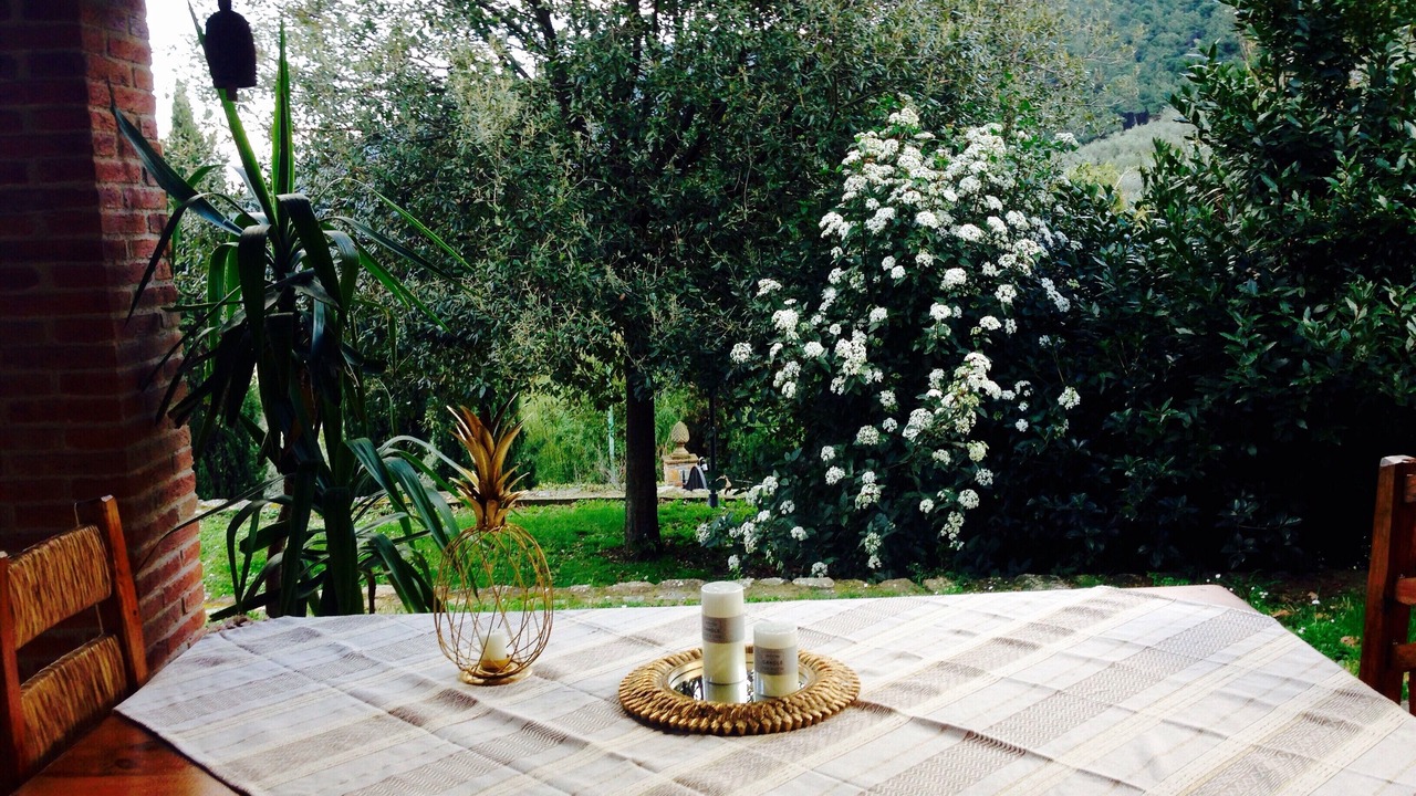 Photo of Outdoor in Buti