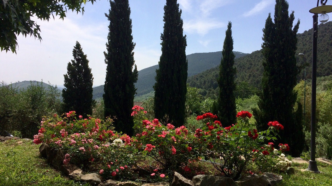 Photo of Outdoor in Buti