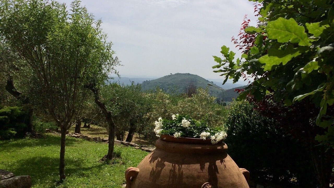 Photo of Outdoor in Buti