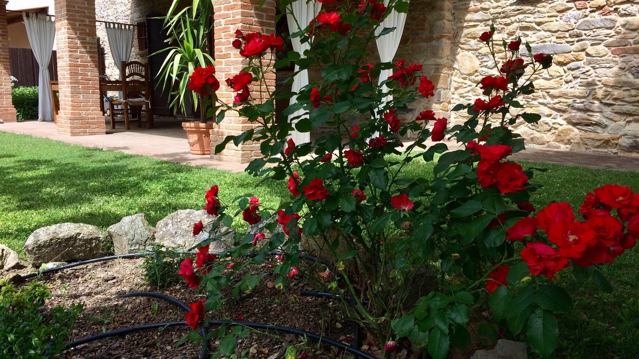 Photo of Outdoor in Buti