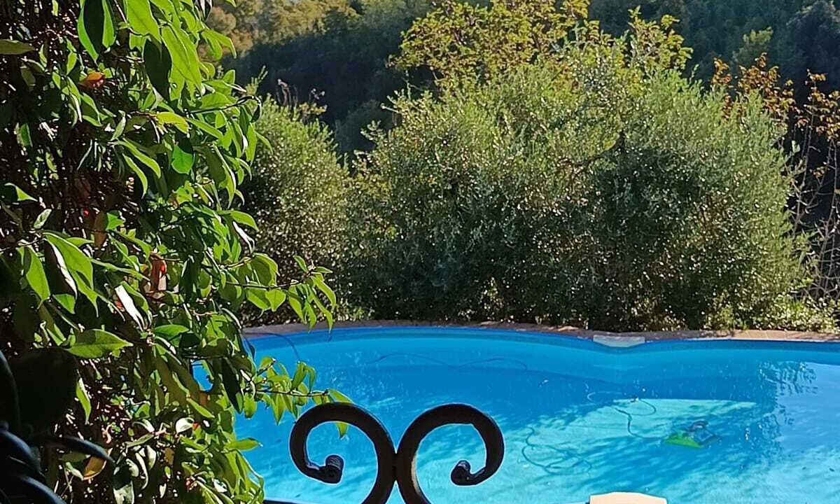Photo of Outdoor in Palaia