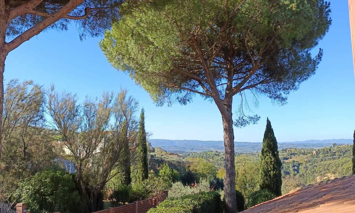 Photo of Outdoor in Palaia