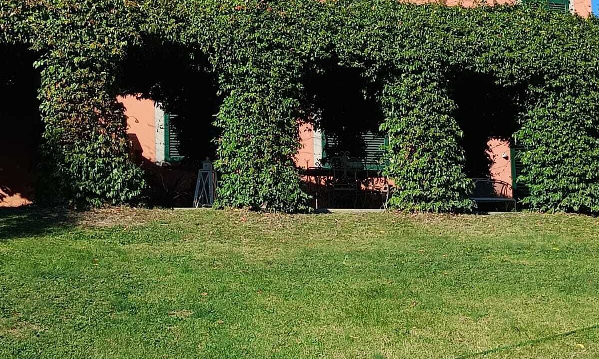 Photo of Outdoor in Palaia