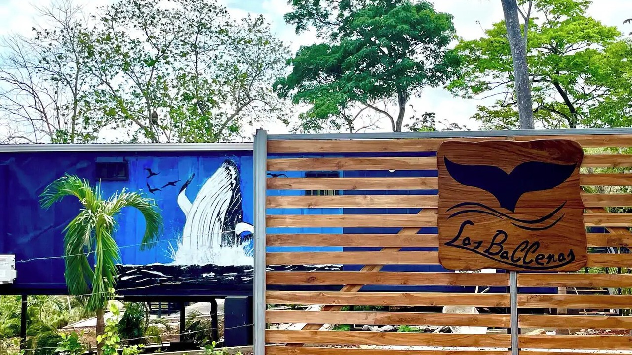Photo of Others in Avellanas Beach
