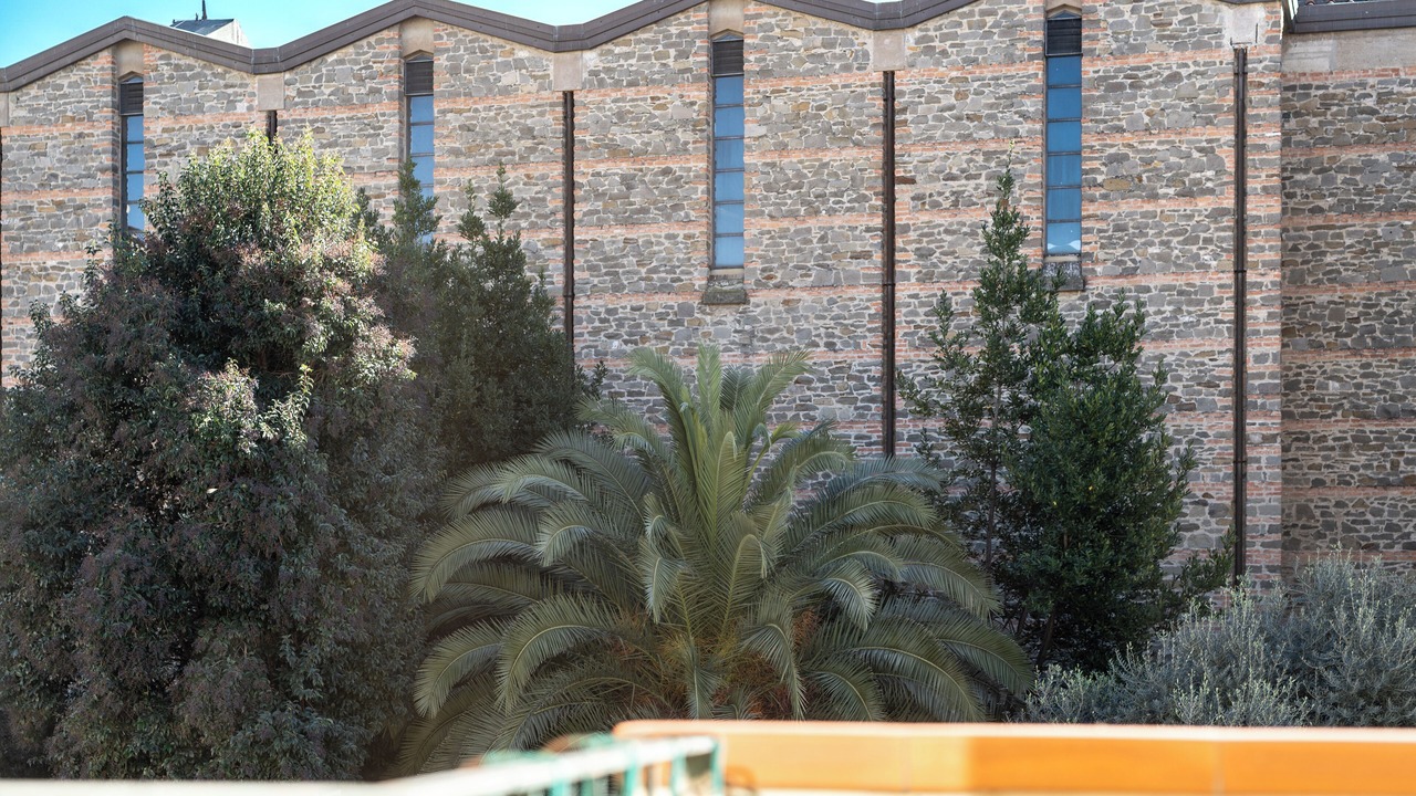 Photo of Outdoor in Isolotto