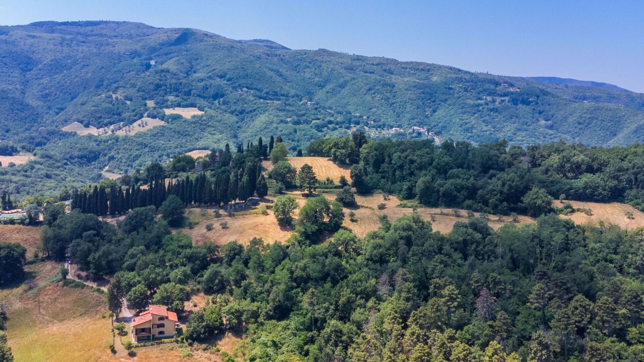 Photo of Others in Vicchio