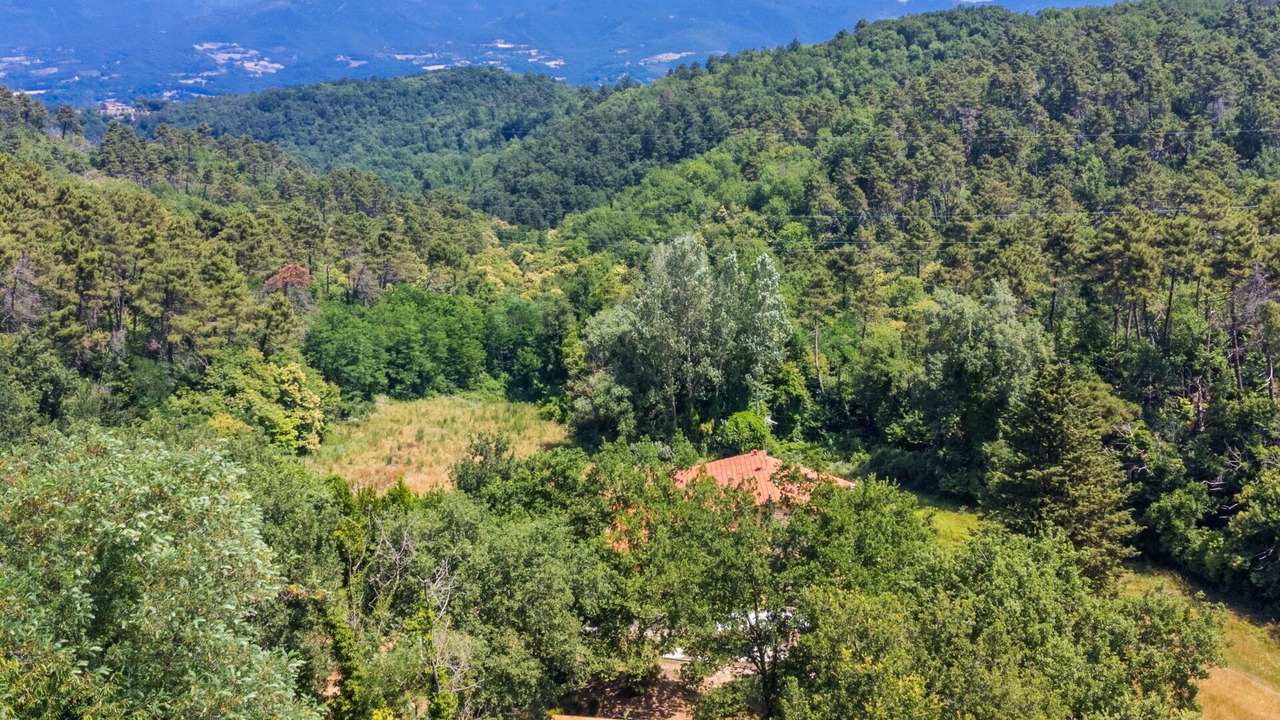 Photo of Others in Vicchio