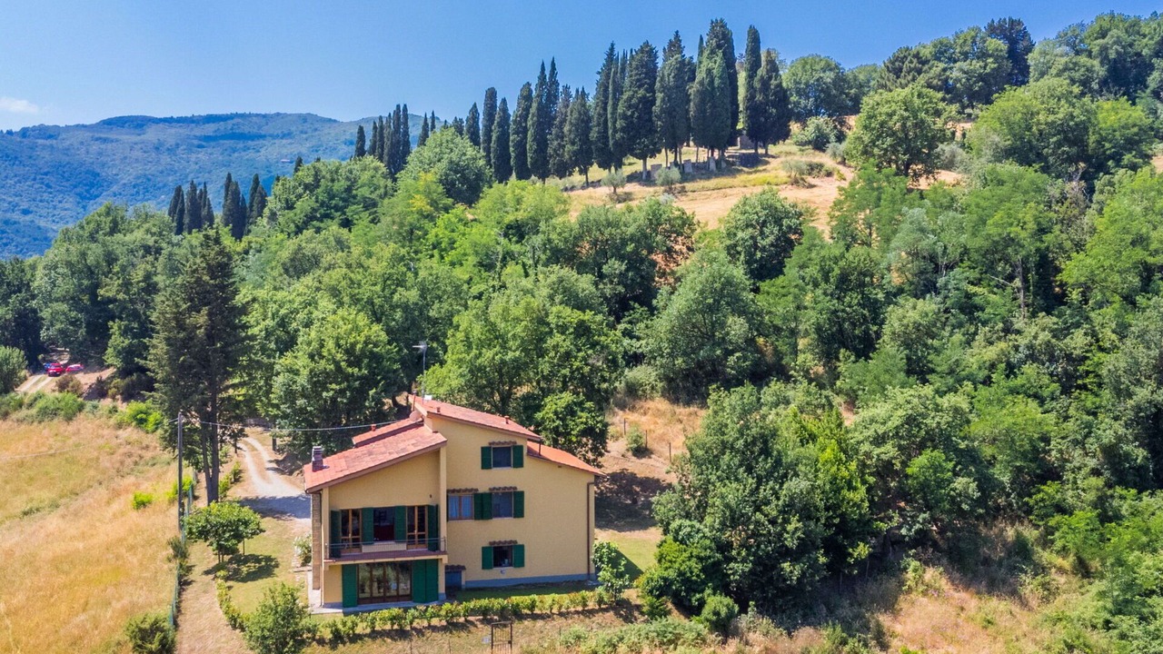 Photo of Others in Vicchio
