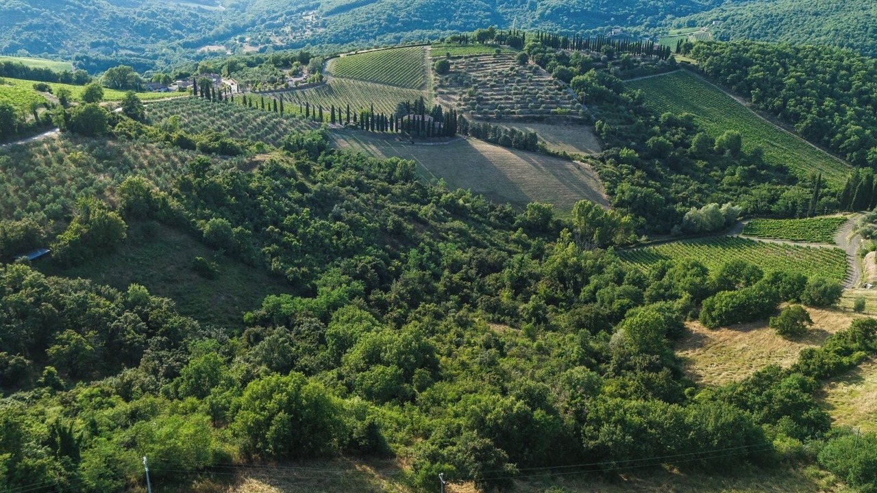 Photo of Outdoor in Radda in Chianti