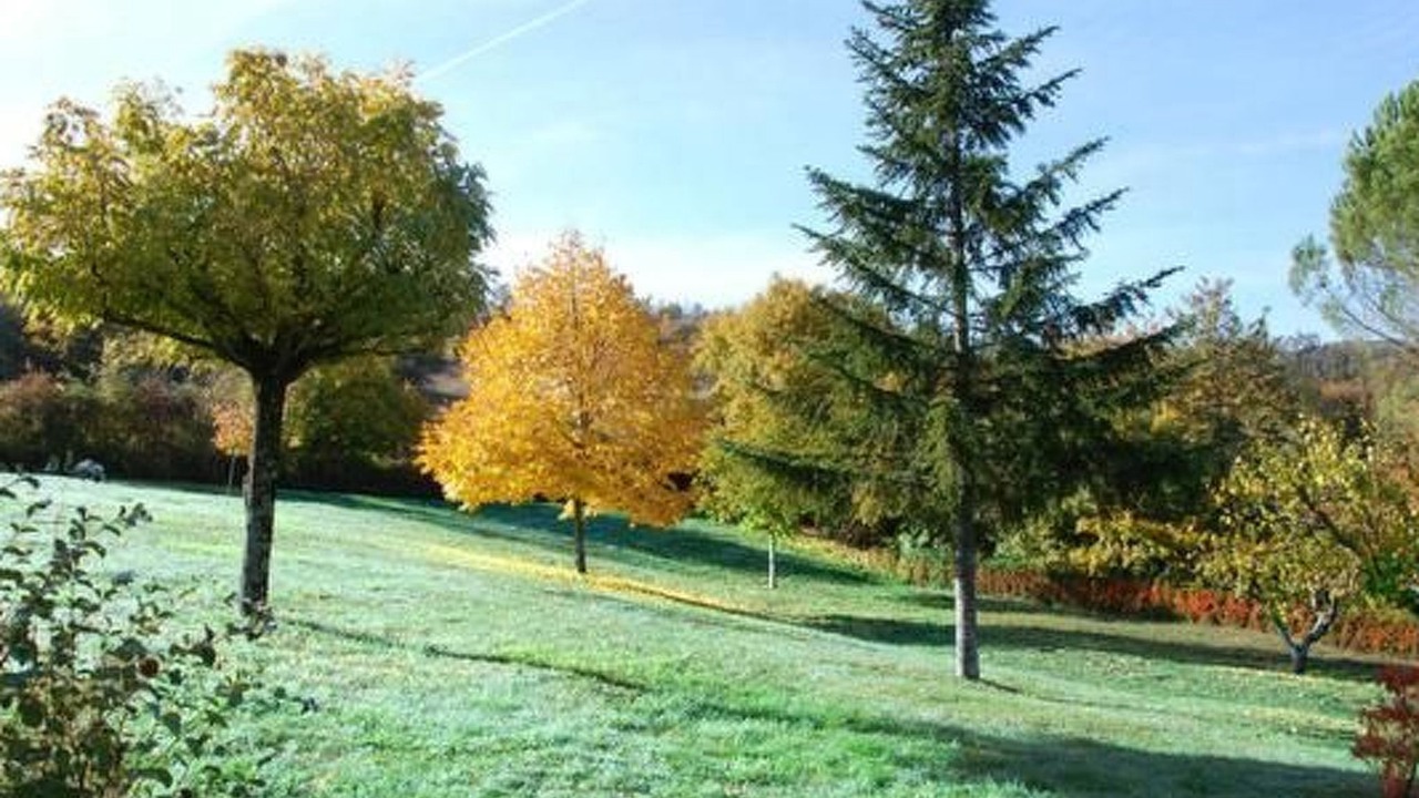 Photo of Others in Talla