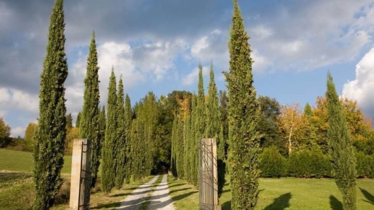Photo of Outdoor in Pratovecchio