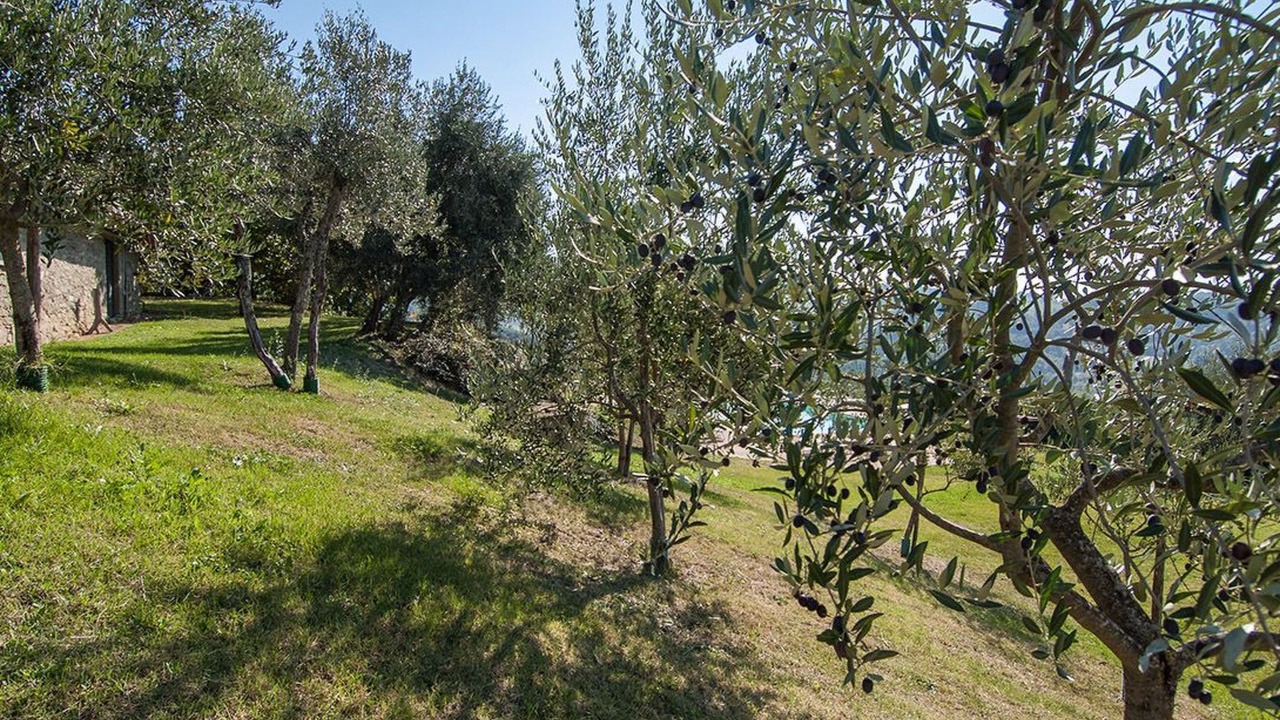 Photo of Others in Pratovecchio