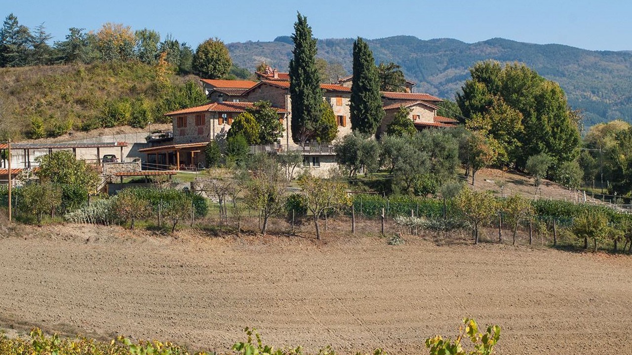 Photo of Others in Pratovecchio
