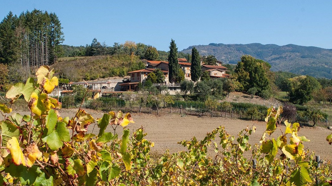 Photo of Others in Pratovecchio