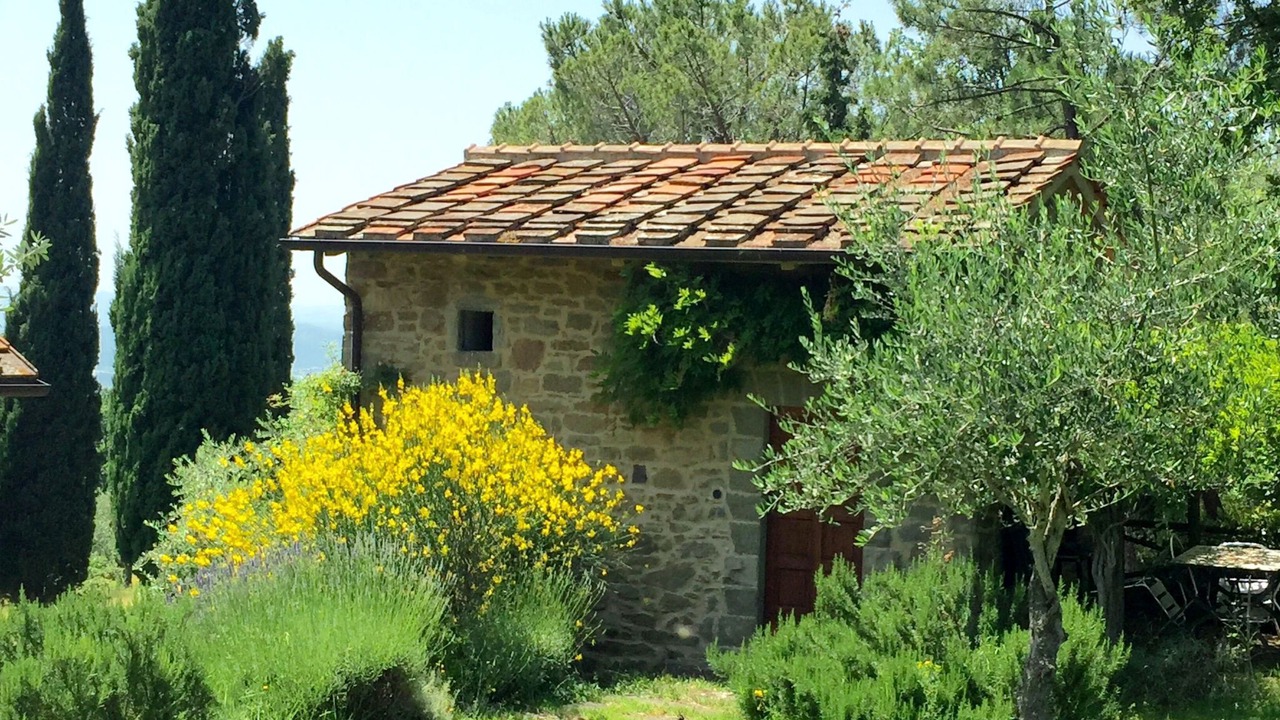 Photo of Others in Loro Ciuffenna