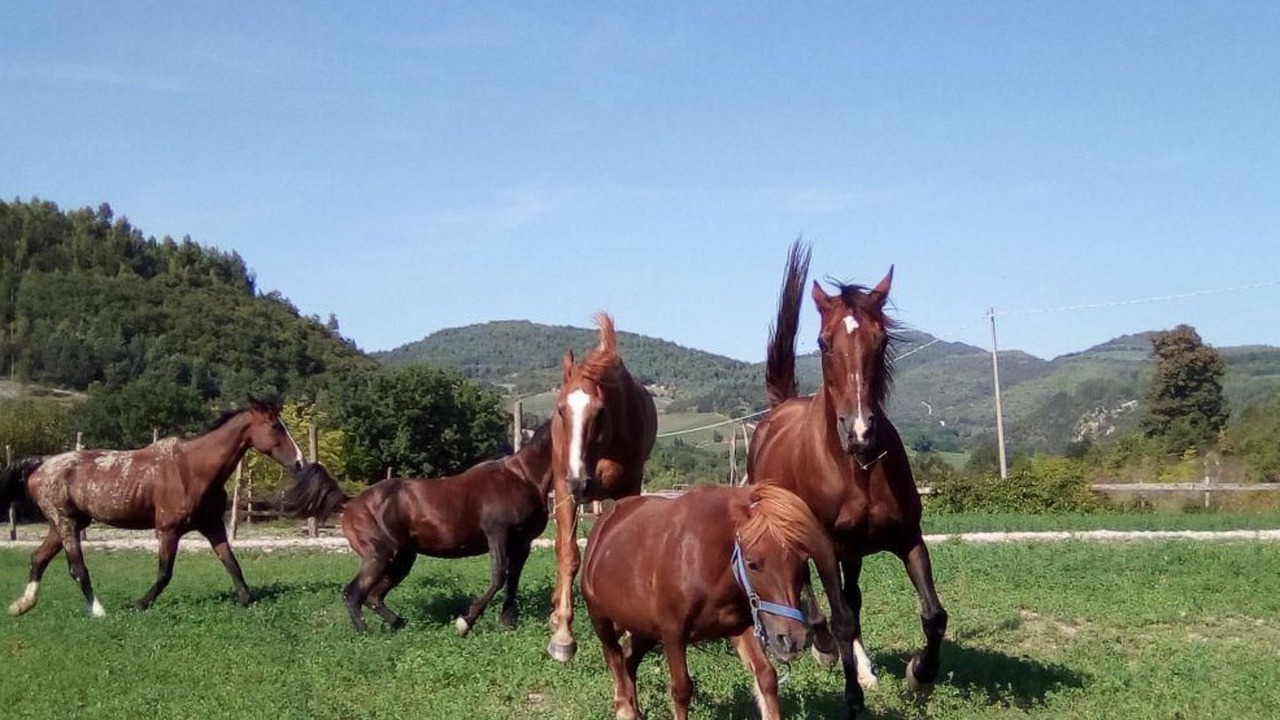 Photo of Others in Urbino
