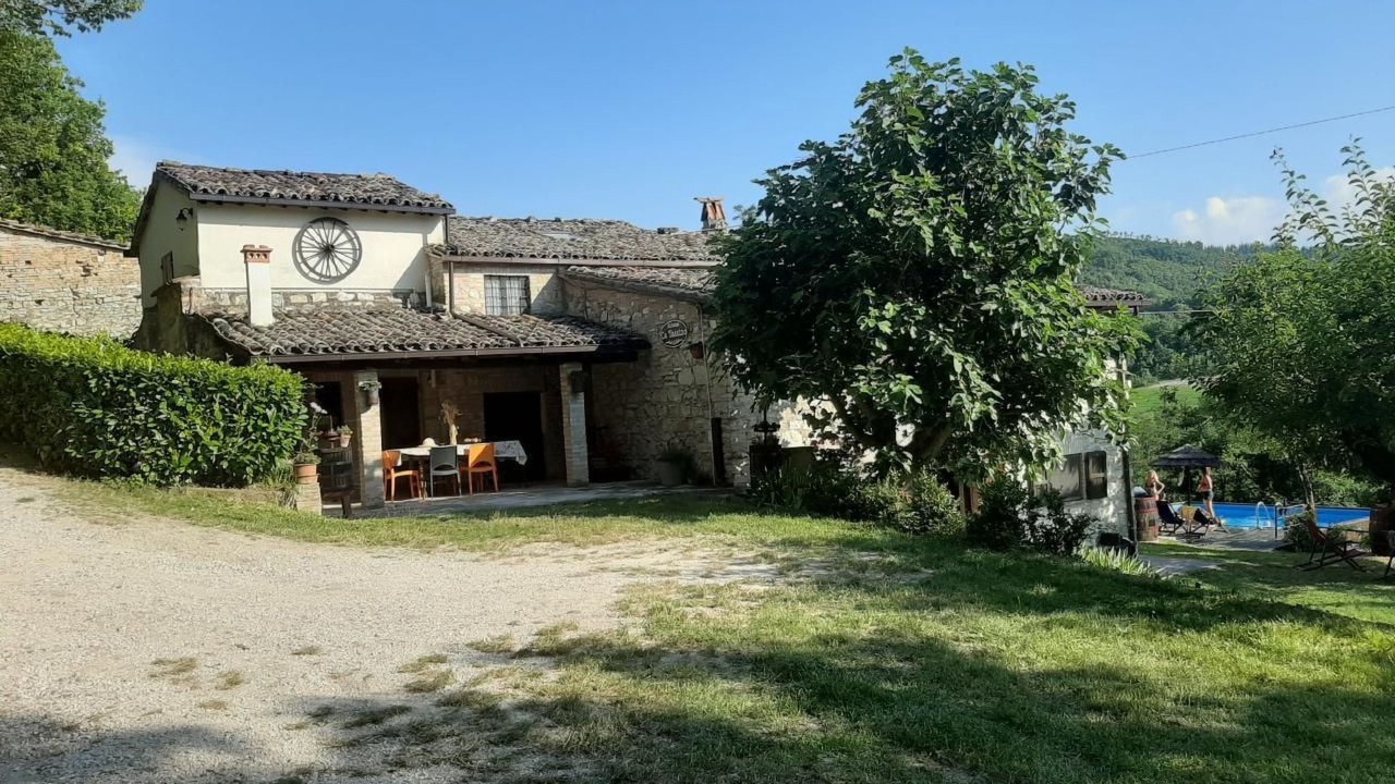 Photo of Others in Urbino