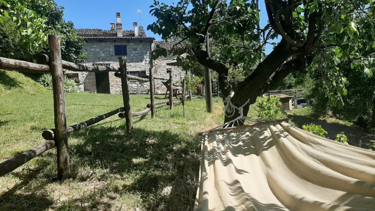 Photo of Others in Urbino