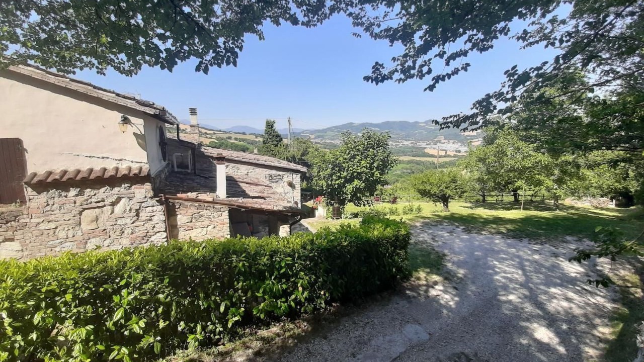 Photo of Others in Urbino