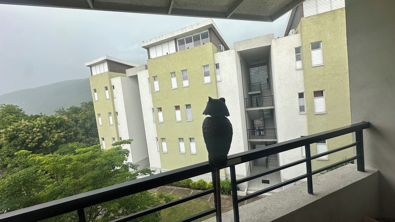 Photo of Outdoor in Saint Andrew
