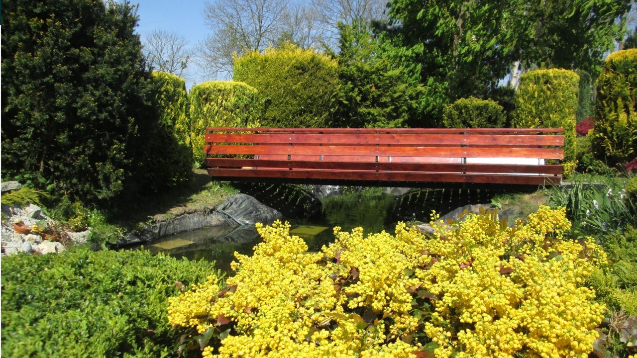 Photo of Others in Municipality of Drechterland