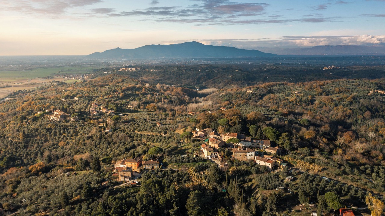 Photo of Outdoor in Forcoli