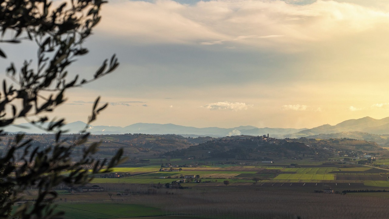 Photo of Others in Forcoli