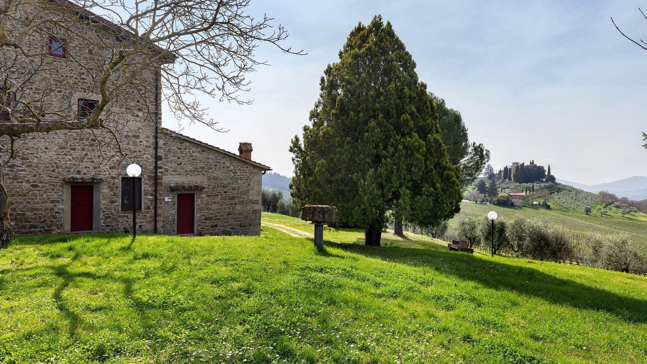 Photo of Outdoor in Pelago