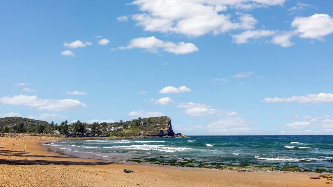 Photo of Others in Avalon Beach