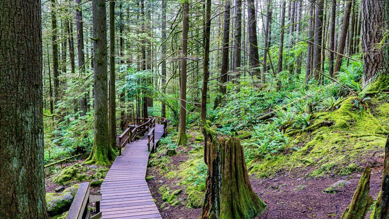 Photo of Others in Lynn Valley