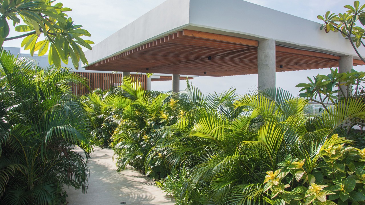 Photo of Outdoor in La Boquilla