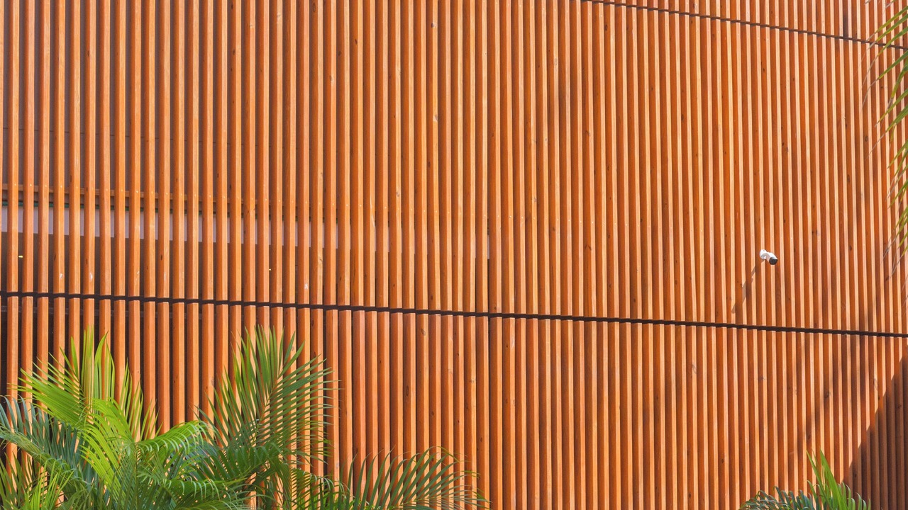 Photo of Outdoor in La Boquilla