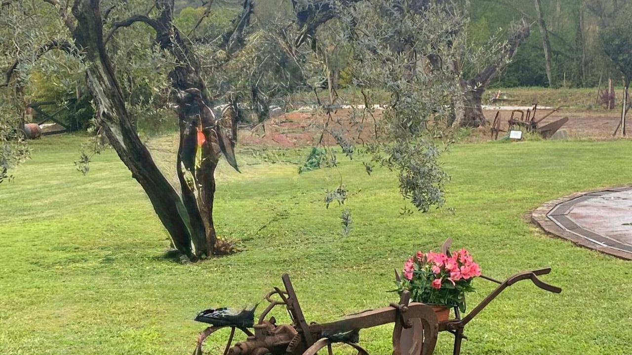 Photo of Others in Crespina