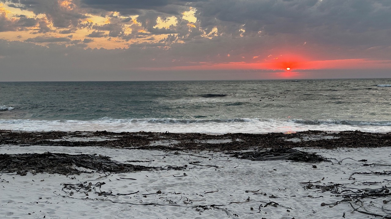 Photo of Others in Kommetjie