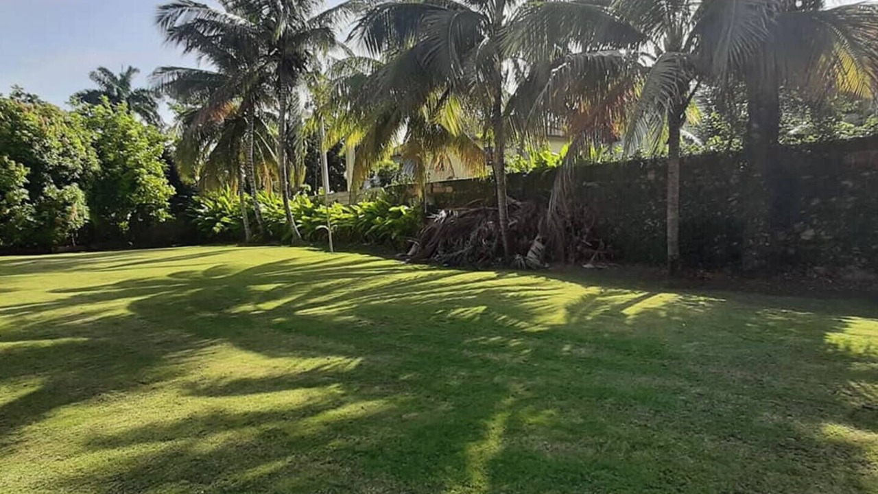 Photo of Outdoor in Mammee Bay