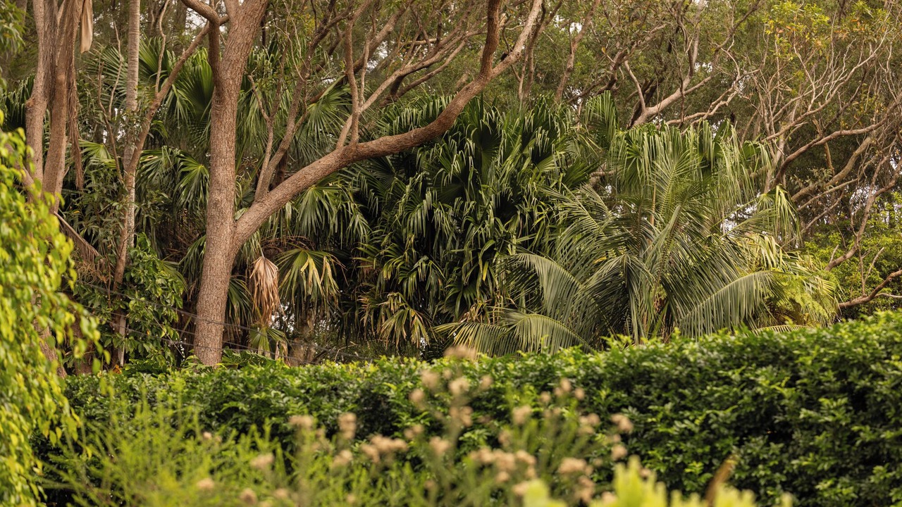 Photo of Outdoor in Umina Beach
