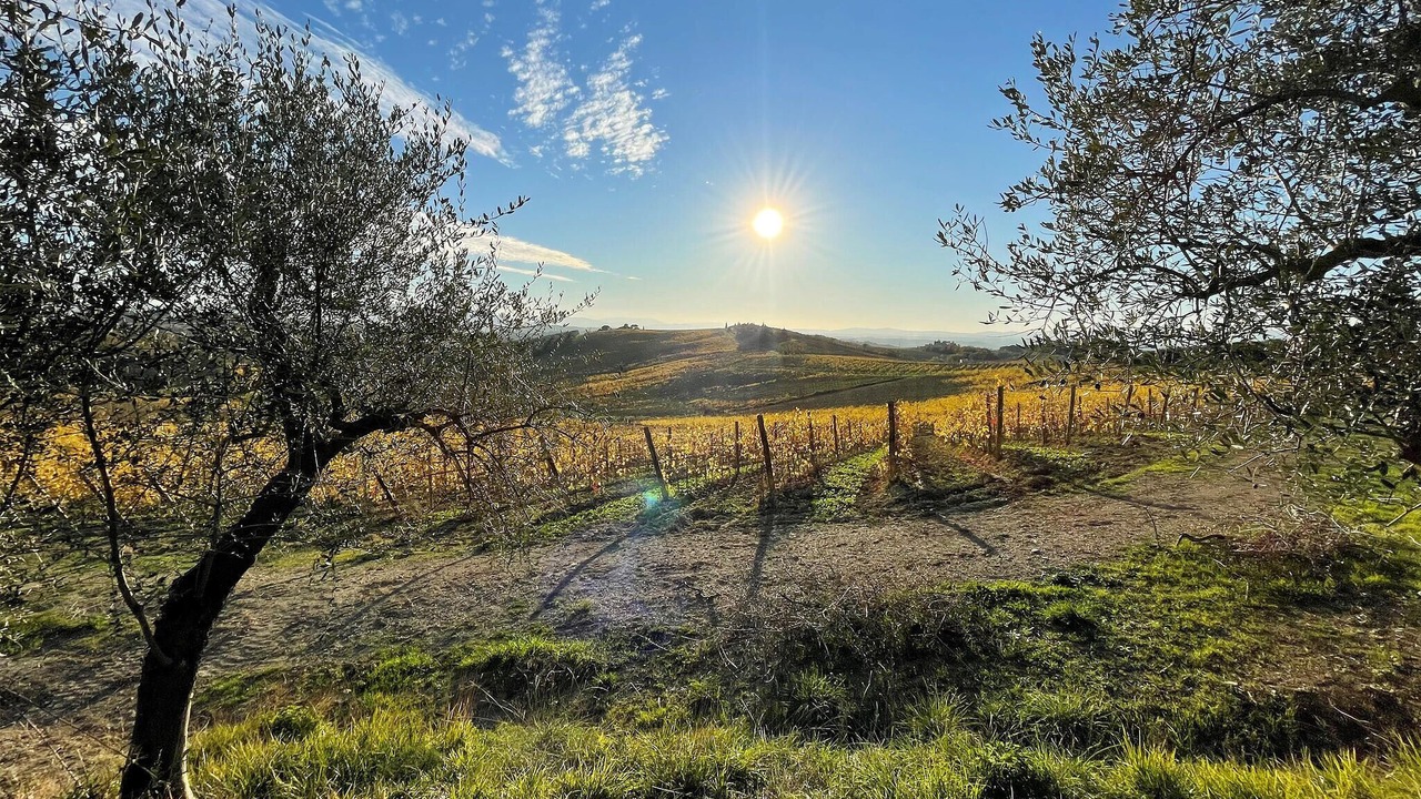 Photo of Others in Lucolena