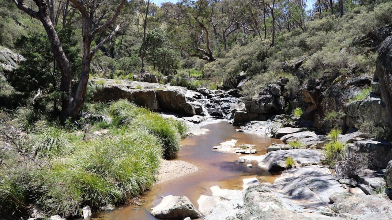 Photo of Others in Gundaroo