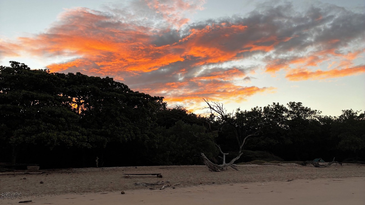 Photo of Others in Avellanas Beach