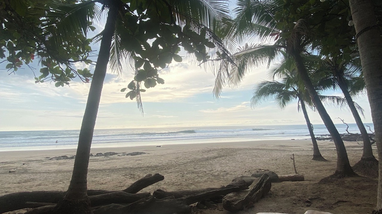 Photo of Others in Avellanas Beach
