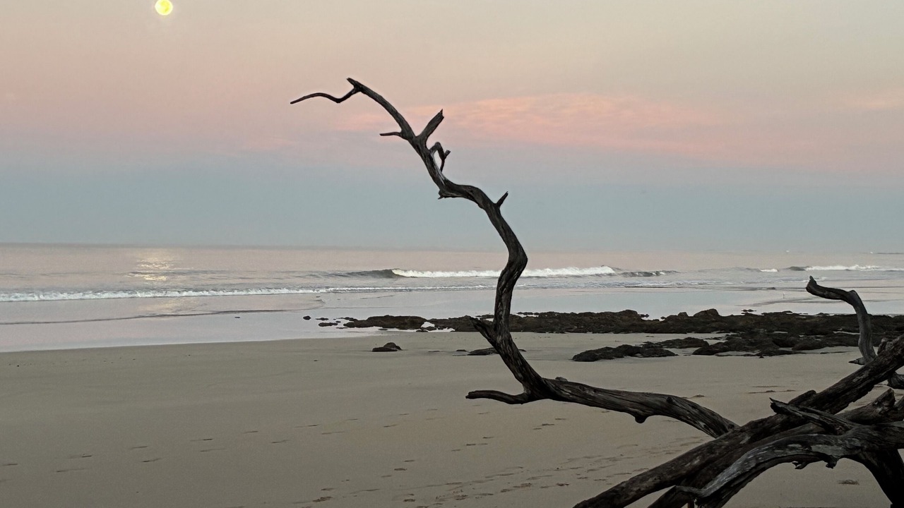 Photo of Others in Avellanas Beach