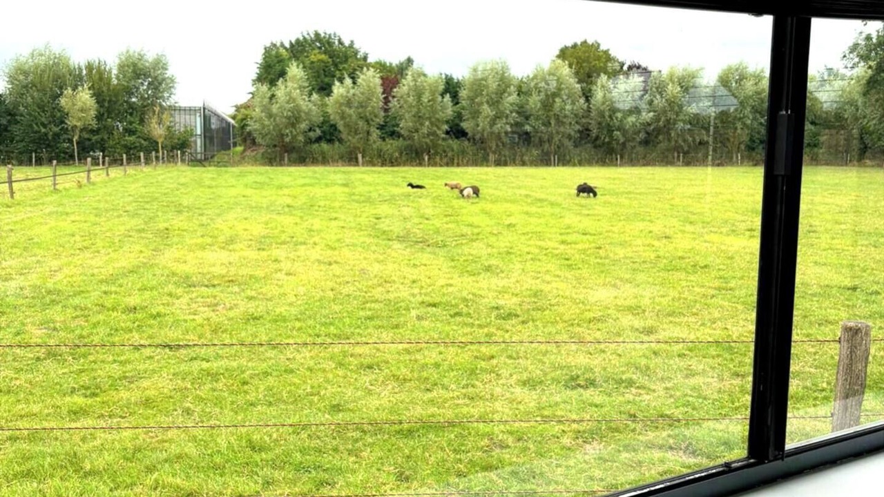 Photo of Others in Heerhugowaard