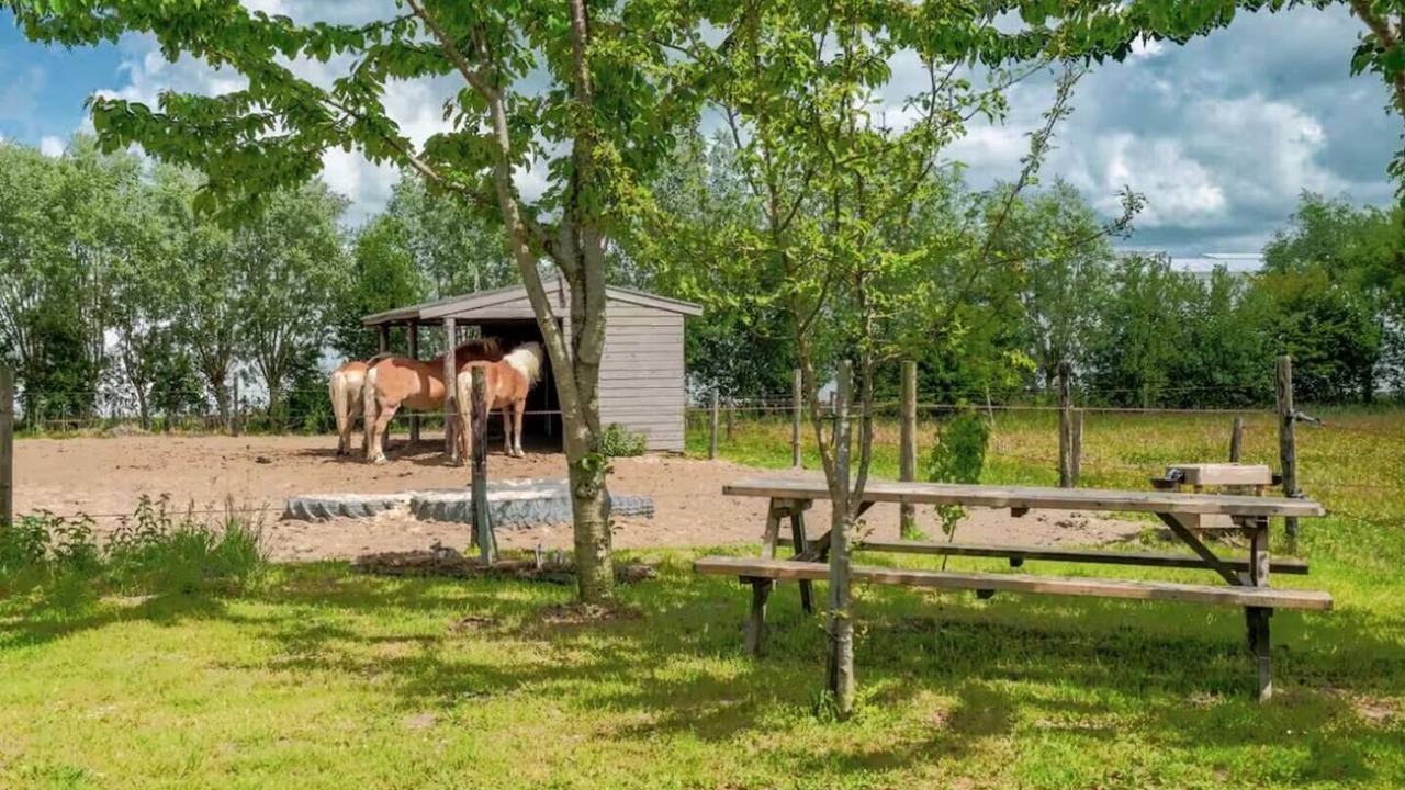 Photo of Outdoor in Heerhugowaard