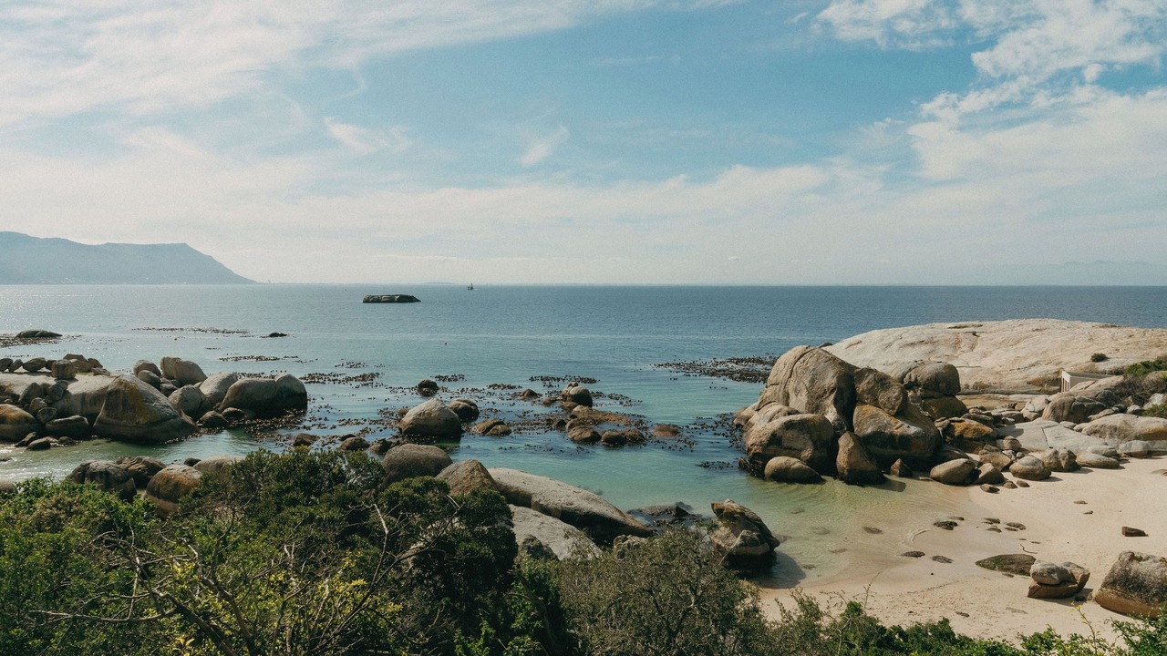 Photo of Others in Simon's Town