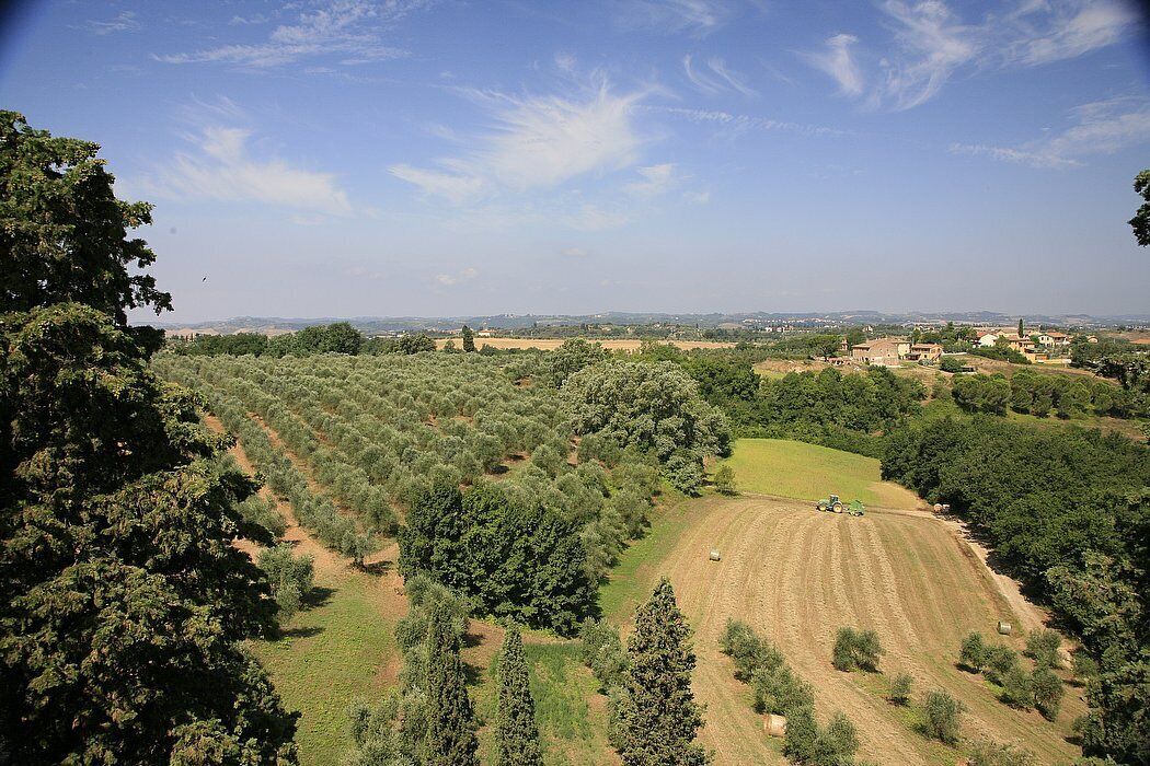 Photo of Others in Castelfiorentino