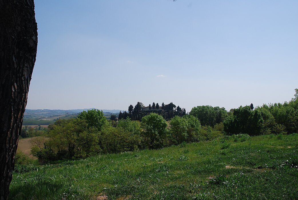 Photo of Others in Castelfiorentino