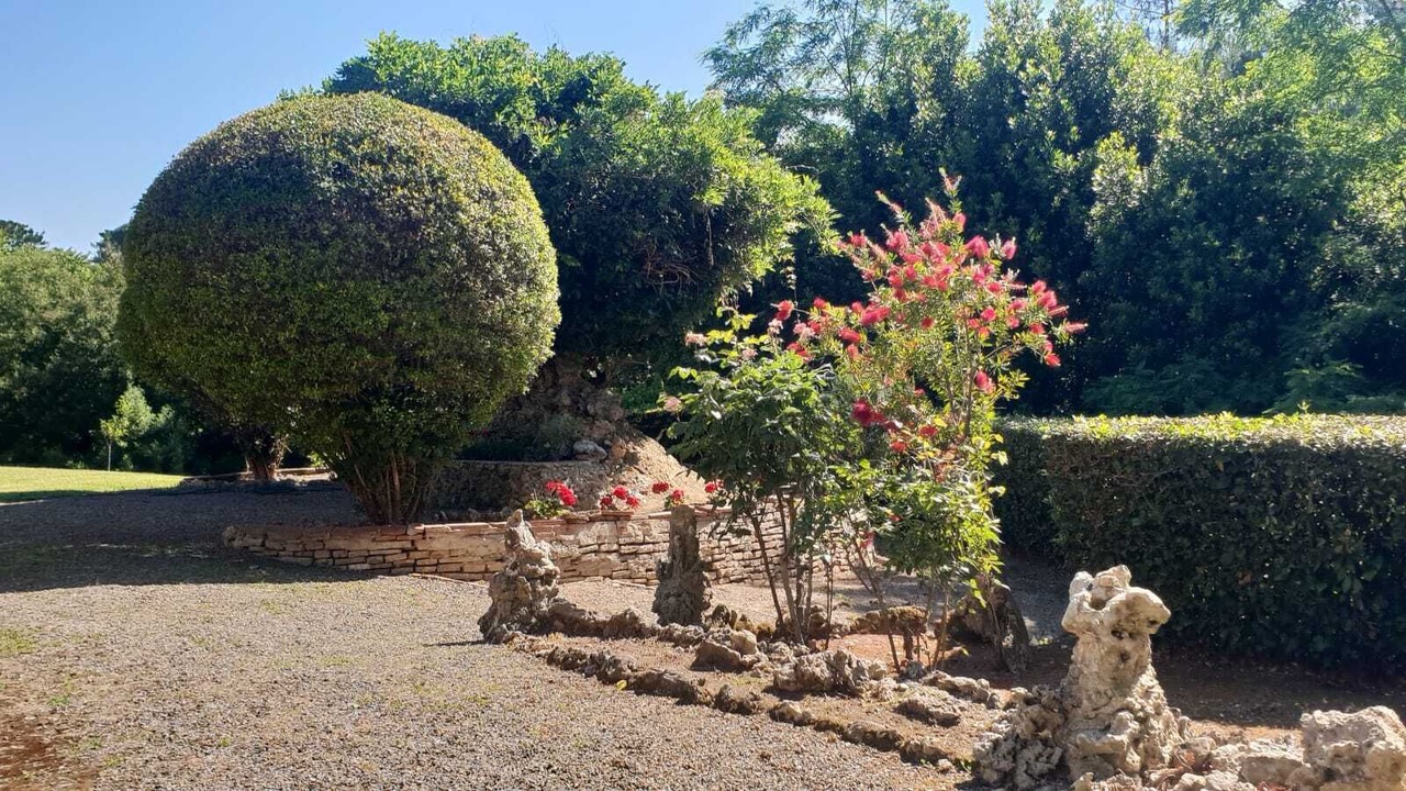 Photo of Outdoor in Crespina